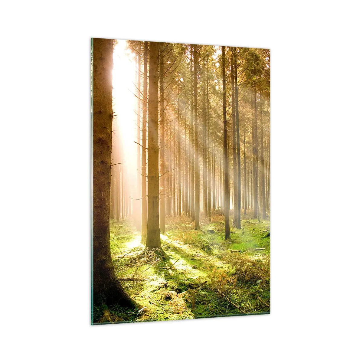 Glasbild - Bild auf glas - Sonnenstrahlen dringen durch die Bäume im Wald - 50x70cm - Die Elfen werden bald erscheinen - Moderne Wanddekoration für Wohnzimmer und Schlafzimmer ARTTOR
