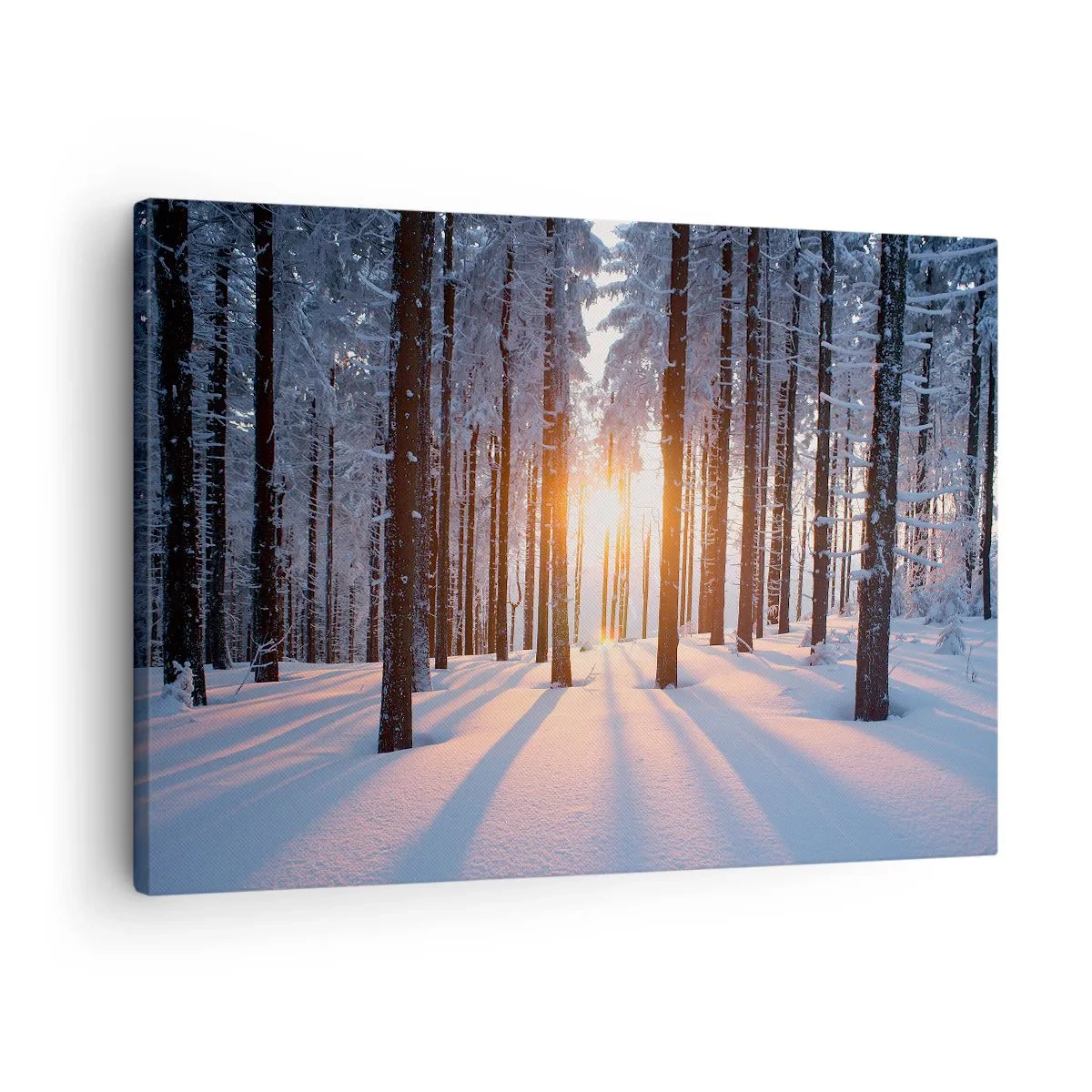 Bild auf Leinwand - Leinwandbild - Winterwald, beleuchtet von den Sonnenstrahlen - 70x50cm - Ganz klar schwarz auf weiß - Moderne Wanddekoration für Wohnzimmer und Schlafzimmer ARTTOR