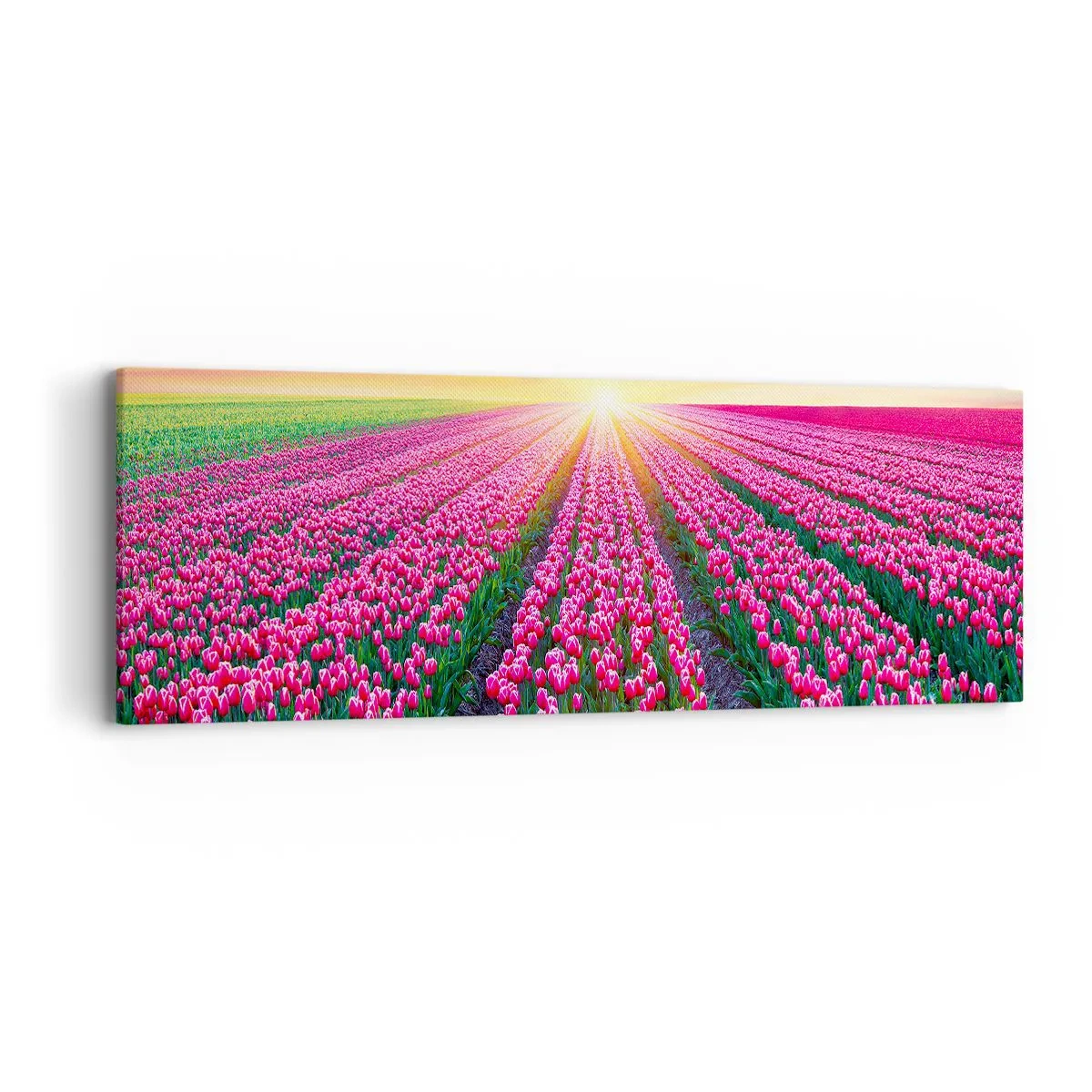 Bild auf Leinwand - Leinwandbild - Schönheitsfarm - 90x30 cm