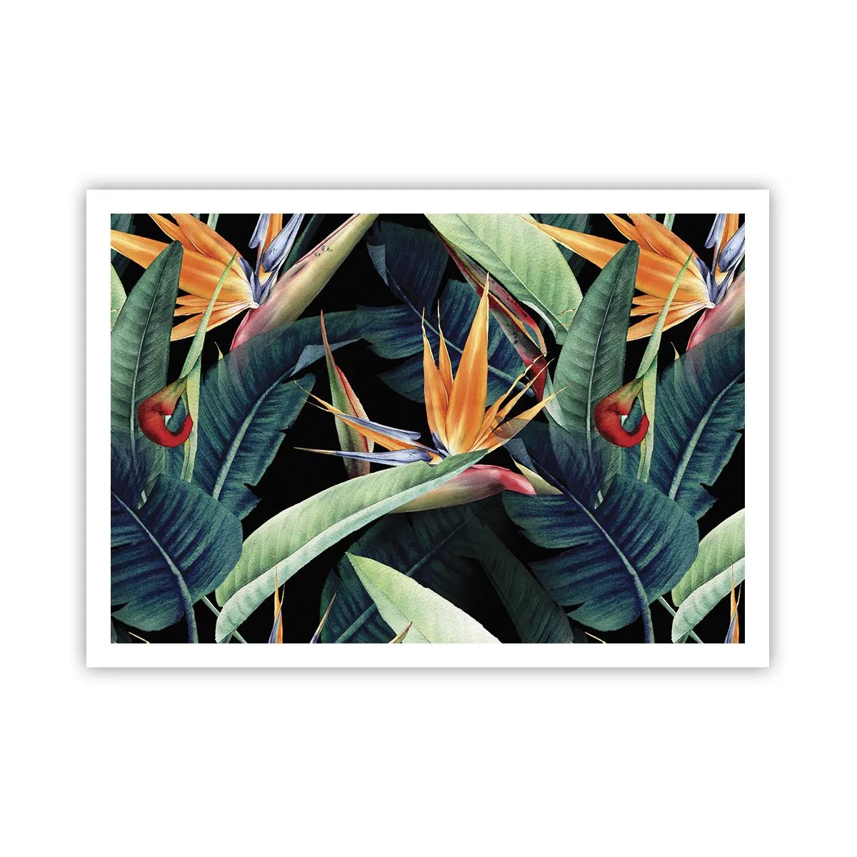 Poster - Tropische Blumen und Blätter auf schwarzem Hintergrund - 100x70cm - Flammende Blumen der Tropen - Moderne Wanddekoration für Wohnzimmer und Schlafzimmer ARTTOR