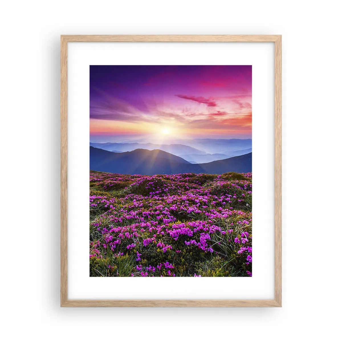 Poster in einem Rahmen aus heller Eiche - Kräuter dufteten nach frischen Trauben von den Feldern - 40x50 cm