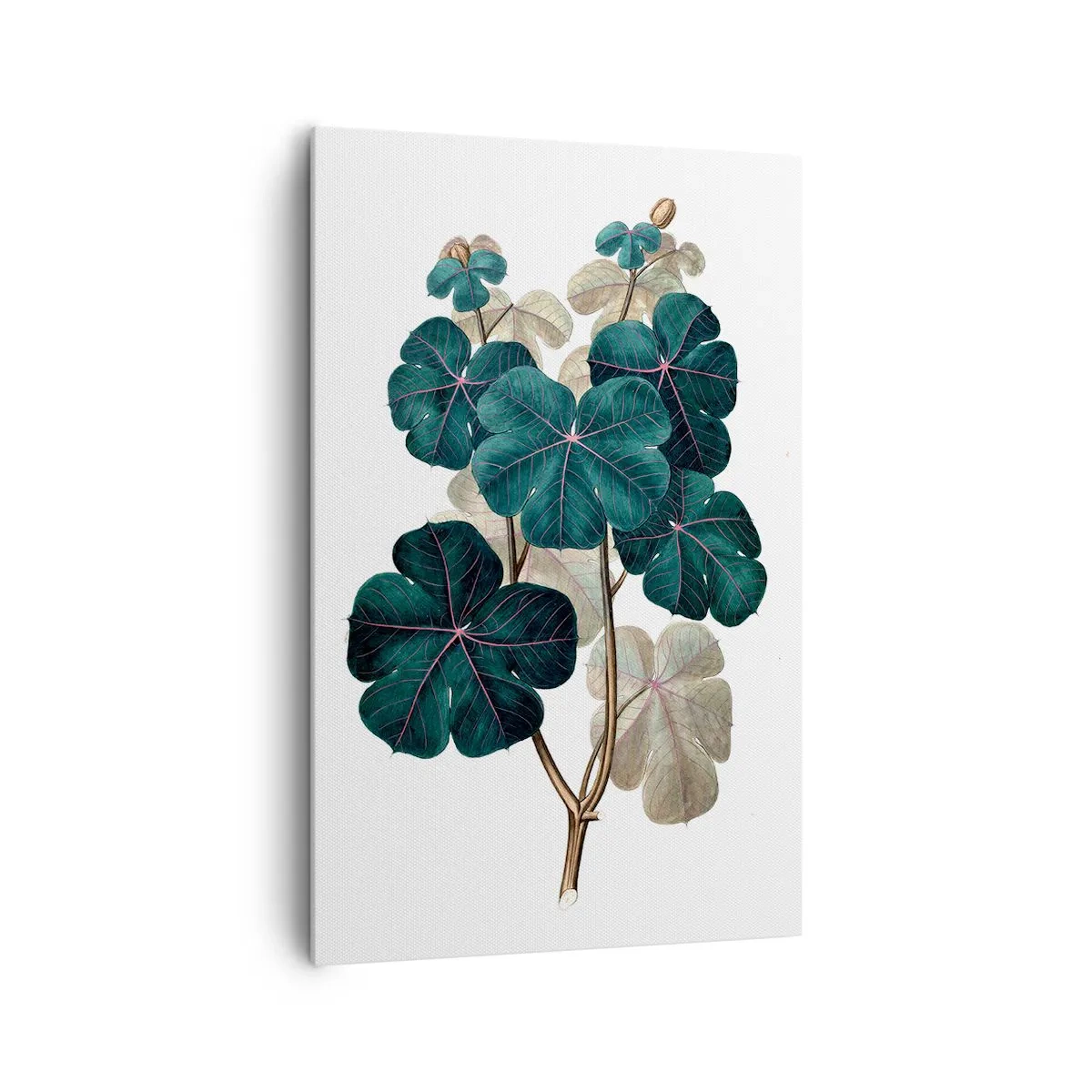 Bild auf Leinwand - Leinwandbild - Botanische Illustration mit Blättern in Grün- und Beigetönen - 80x120cm - Aus dem alten Herbarium - Moderne Wanddekoration für Wohnzimmer und Schlafzimmer ARTTOR