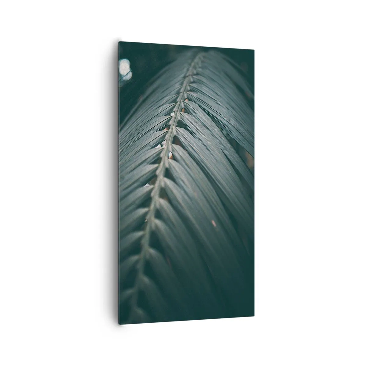 Bild auf Leinwand - Leinwandbild - Die Präzision der Natur - 65x120 cm