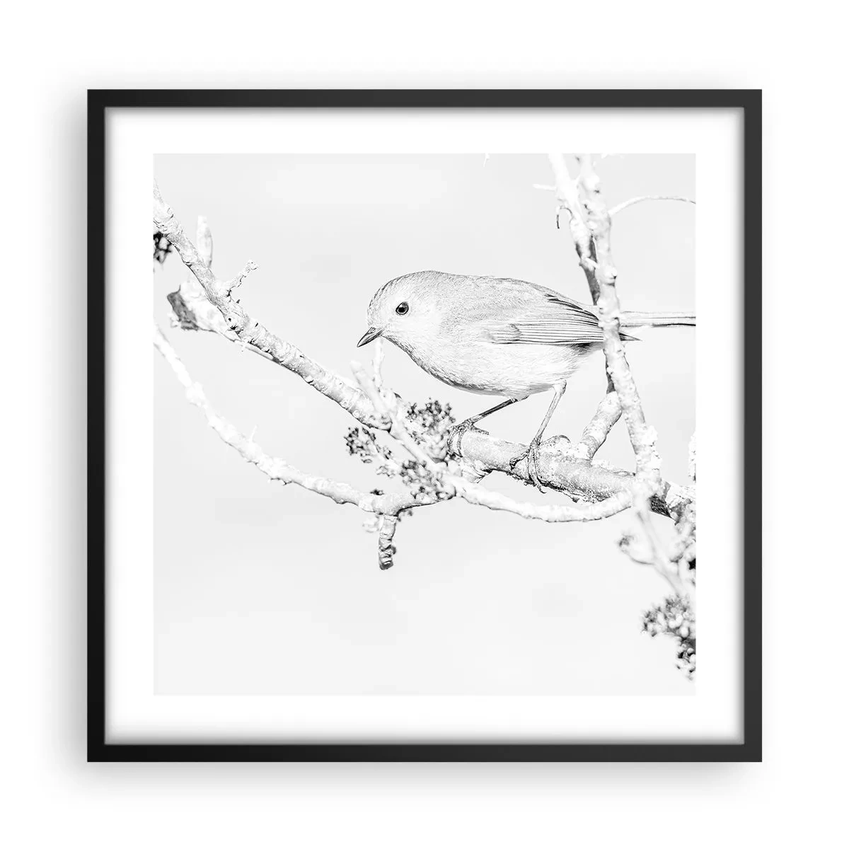 Poster in einem schwarzem Rahmen - Wintermorgen - 50x50 cm