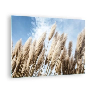Glasbild - Bild auf glas - Dekorative Pampasgräser vor blauem Himmel - 70x50cm - Sonnige und windige Liebkosungen - Moderne Wanddekoration für Wohnzimmer und Schlafzimmer ARTTOR