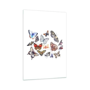 Glasbild - Bild auf glas - Bunte Schmetterlinge auf weißem Hintergrund - 70x100cm - Spitzen, bunter Schwarm - Moderne Wanddekoration für Wohnzimmer und Schlafzimmer ARTTOR