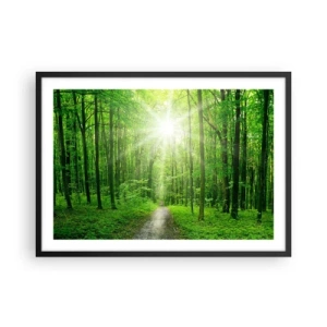 Poster in einem schwarzem Rahmen - Pfad im Wald mit Sonnenstrahlen - 70x50cm - Die grüne Kathedrale - Moderne Wanddekoration für Wohnzimmer und Schlafzimmer ARTTOR