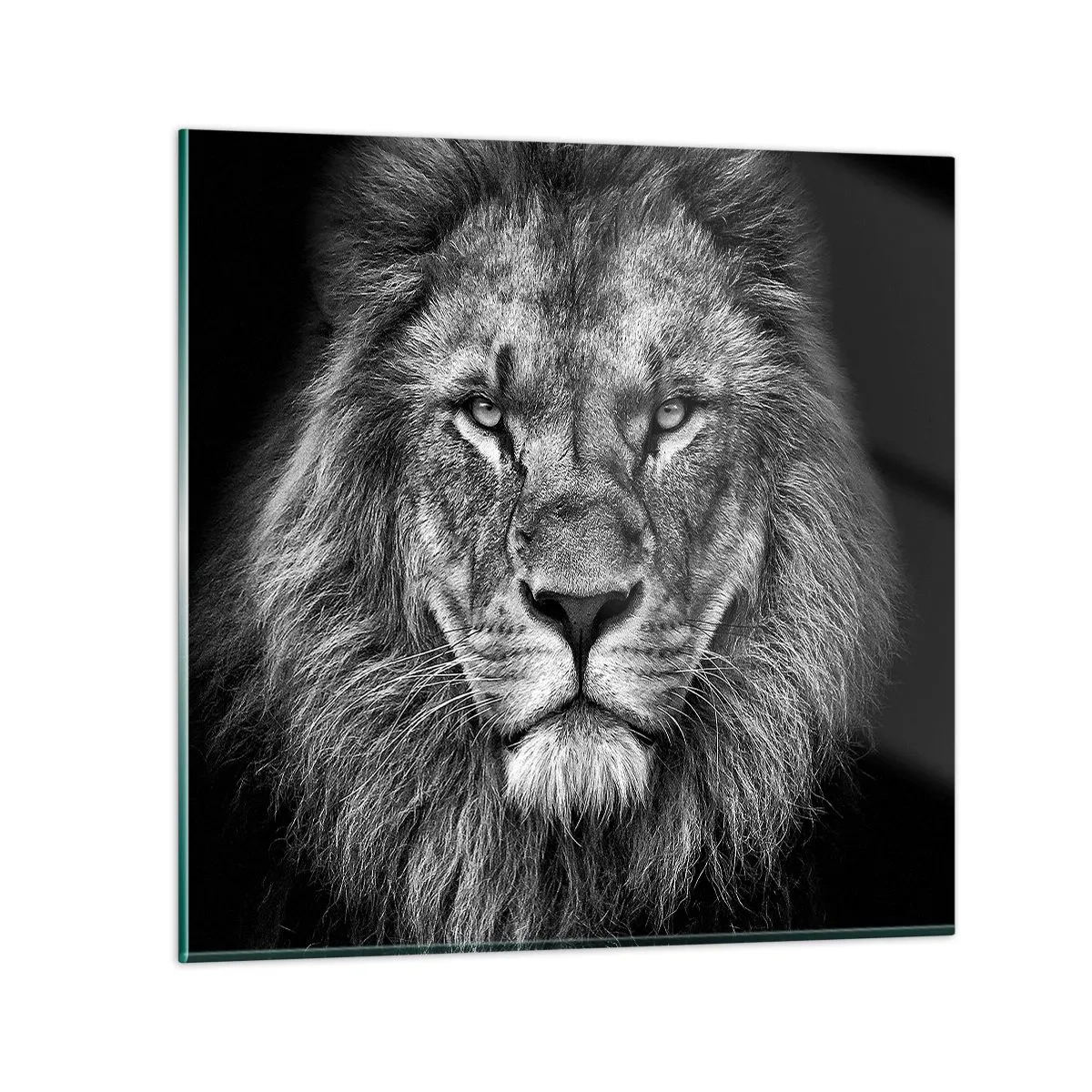 Glasbild - Bild auf glas - Im Krönungsgewand - 70x70 cm