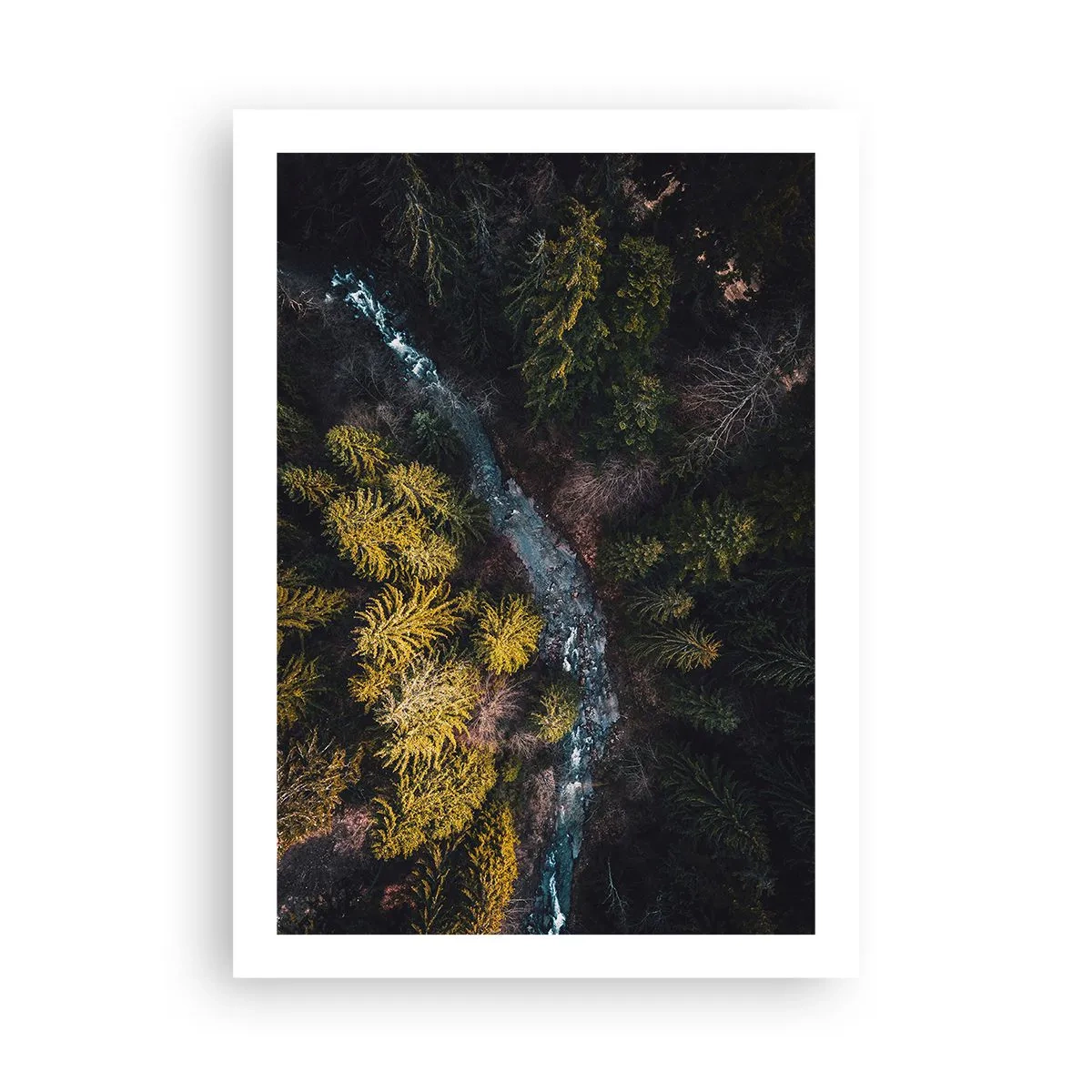 Poster - Ein Waldbach aus der Vogelperspektive - 50x70cm - Schnell und immer schneller - Moderne Wanddekoration für Wohnzimmer und Schlafzimmer ARTTOR