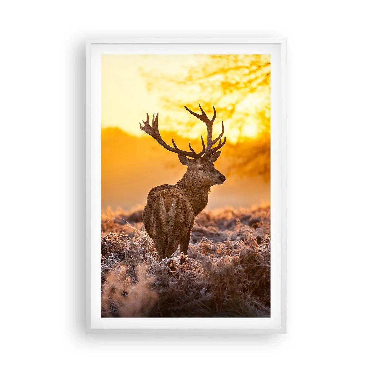 Poster in einem weißen Rahmen - König des Herbstwaldes - 61x91 cm