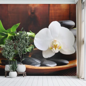 Selbstklebende Fototapete Deluxe Sticker - Geben Sie sich dem Hauch der Natur hin - Blumen, Orchidee, Orchidee - 100x70 cm