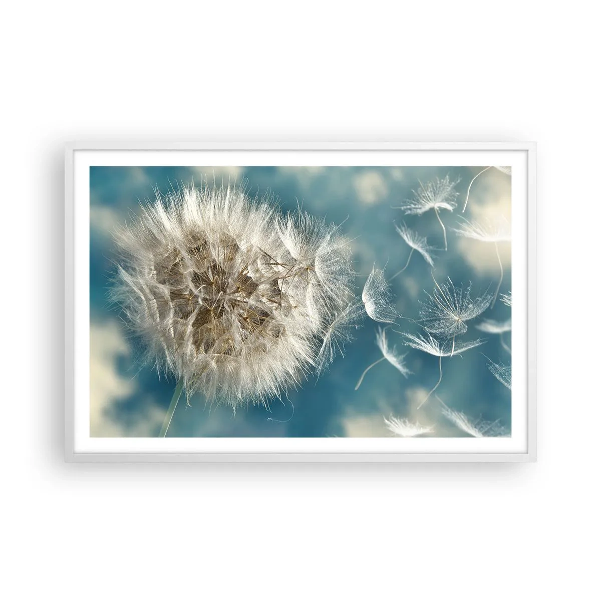 Poster in einem weißen Rahmen - Engelsatem - 91x61 cm