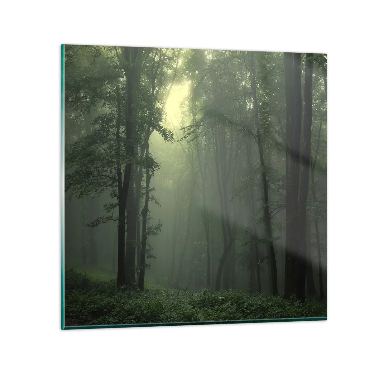 Glasbild - Bild auf glas - Bevor er aufwacht - 40x40 cm