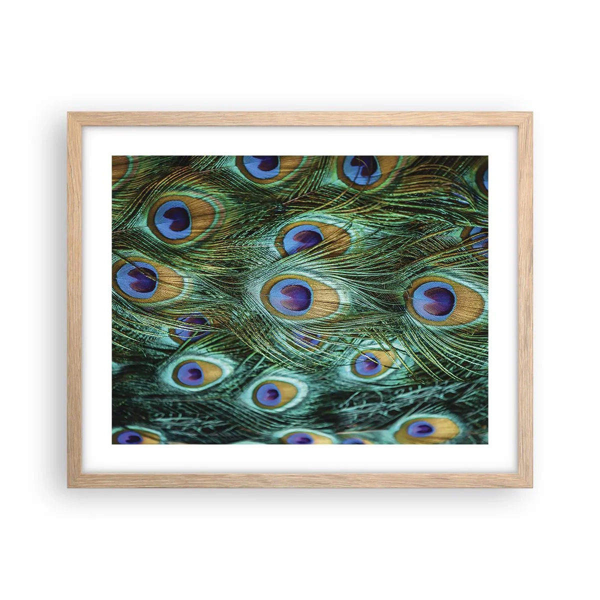 Poster in einem Rahmen aus heller Eiche - Ein Blick mit Pfauenaugen - 50x40 cm