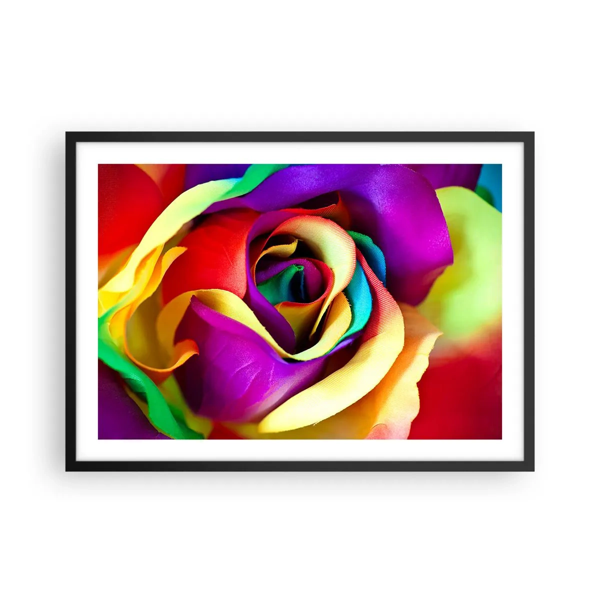 Poster in einem schwarzem Rahmen - Eine bunte Rose in Regenbogenfarben - 70x50cm - Es ist unmöglich - Moderne Wanddekoration für Wohnzimmer und Schlafzimmer ARTTOR