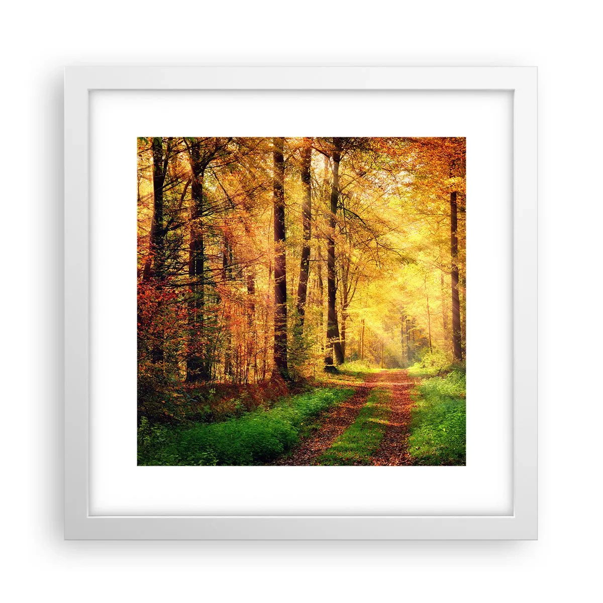 Poster in einem weißen Rahmen - Waldgoldene Stille - 30x30 cm