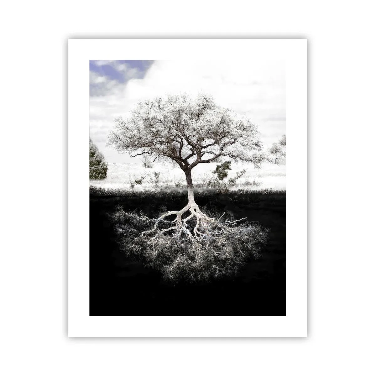 Poster - Die Natur der Welt entdecken - 40x50 cm
