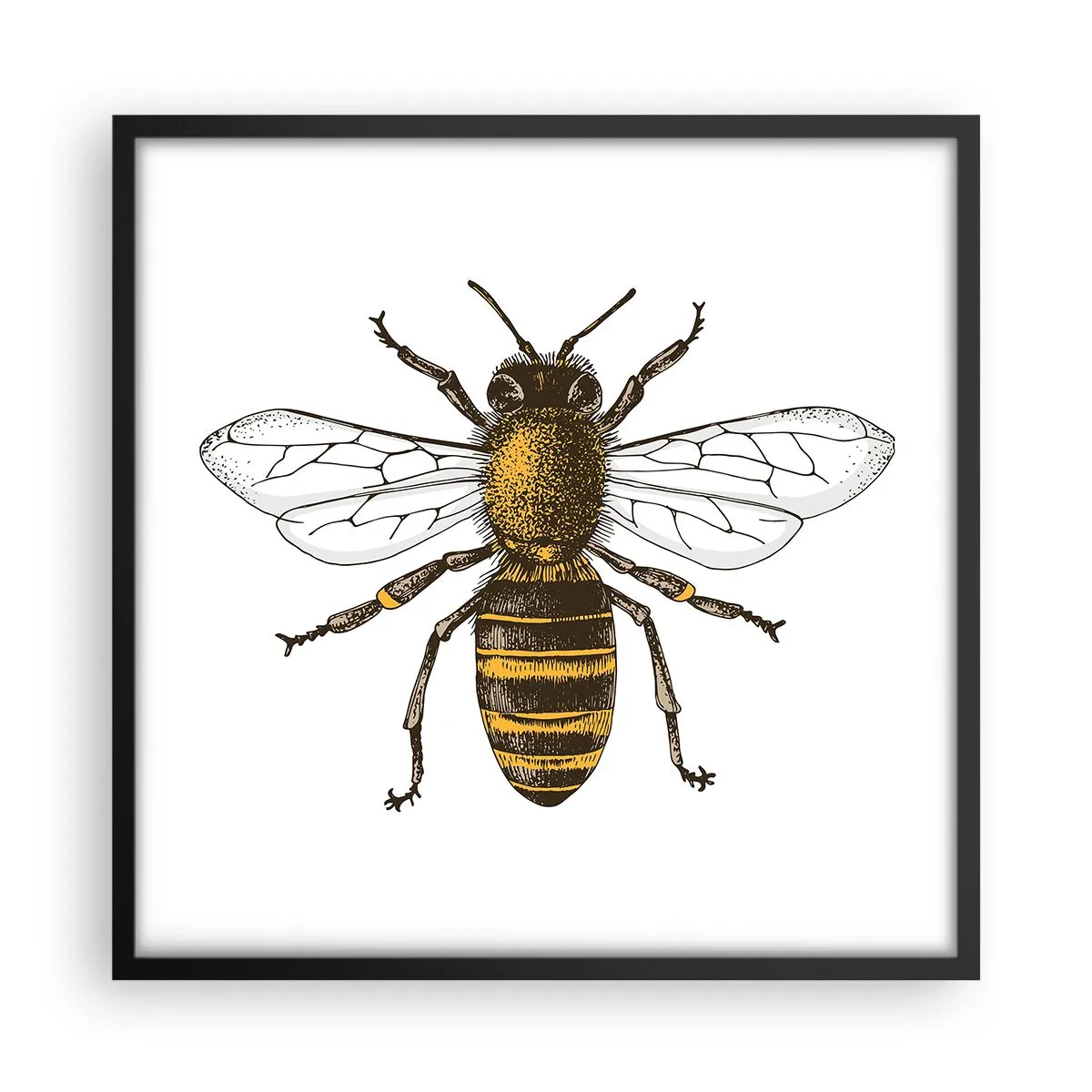 Poster in einem schwarzem Rahmen - Schön und gut - 50x50 cm