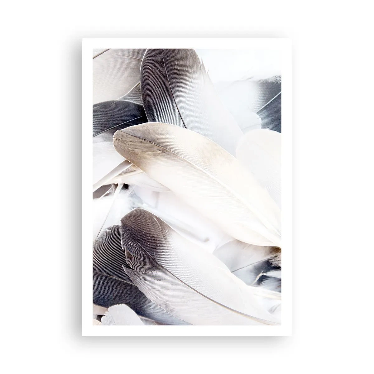 Poster - Fast engelhaft - 70x100 cm