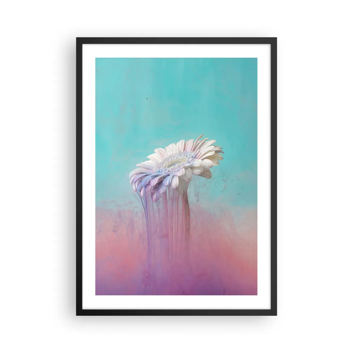 Poster in einem schwarzem Rahmen - Weiße Gerbera mit bunten Streifen auf pastellfarbenem Hintergrund - 50x70cm - Blumenunterwelt - Moderne Wanddekoration für Wohnzimmer und Schlafzimmer ARTTOR