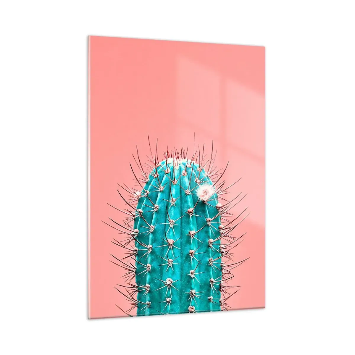 Glasbild - Bild auf glas - Grüner Kaktus mit Dornen auf rosa Hintergrund - 50x70cm - Schau einfach hin - Moderne Wanddekoration für Wohnzimmer und Schlafzimmer ARTTOR