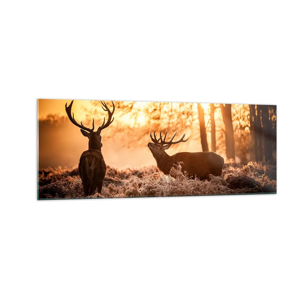 Glasbild - Bild auf glas - Zwei Hirsche bei Sonnenuntergang in einer Winterlandschaft - 140x50cm - Der Traum eines Jägers - Moderne Wanddekoration für Wohnzimmer und Schlafzimmer ARTTOR