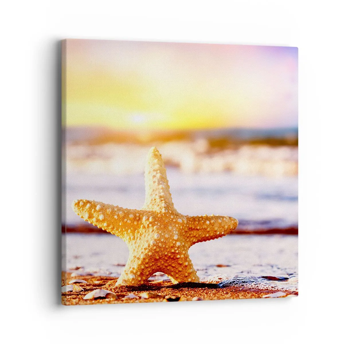 Bild auf Leinwand - Leinwandbild - Meer Geschenk - 40x40 cm