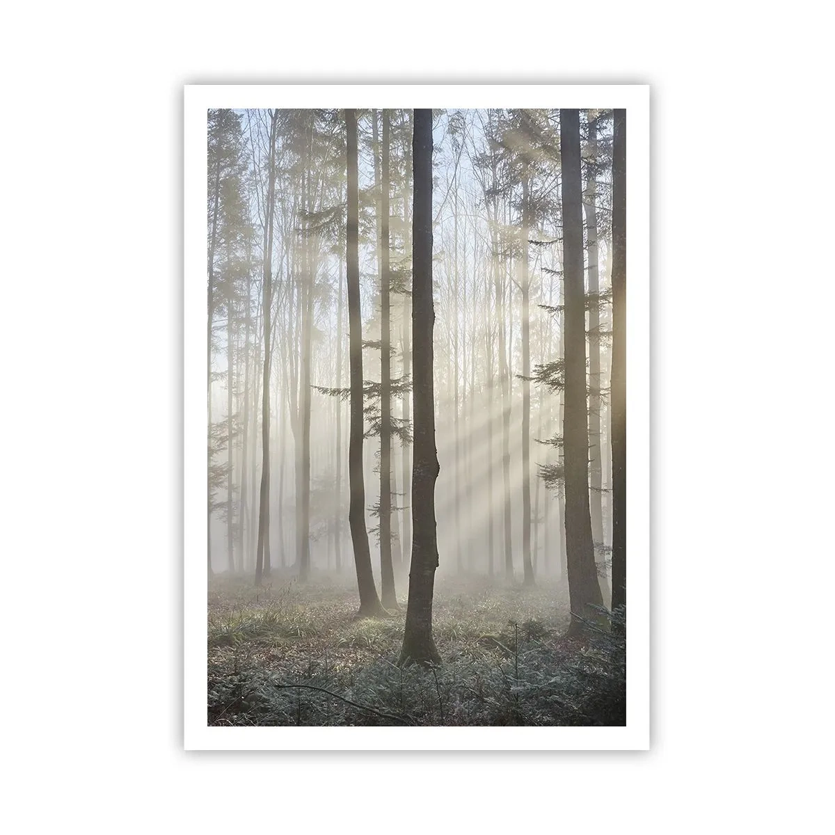 Poster - Der Nebel ist auch aufgewacht - 70x100 cm