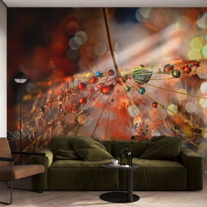 Fototapete Standard Eco - Auf einem Spinnenfaden aufgefädelt - Abstraktion, Spinnennetz, Stück - 200x140 cm