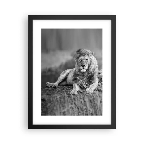 Poster in einem schwarzem Rahmen - Königliche Siesta - 30x40 cm