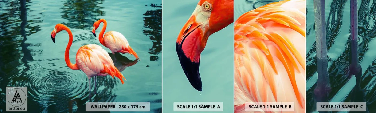 Fototapeten Muster Selbstklebend Deluxe Sticker - Wir sind jetzt in Mode - Flamingos, Vögel, Natur - 100x30 cm