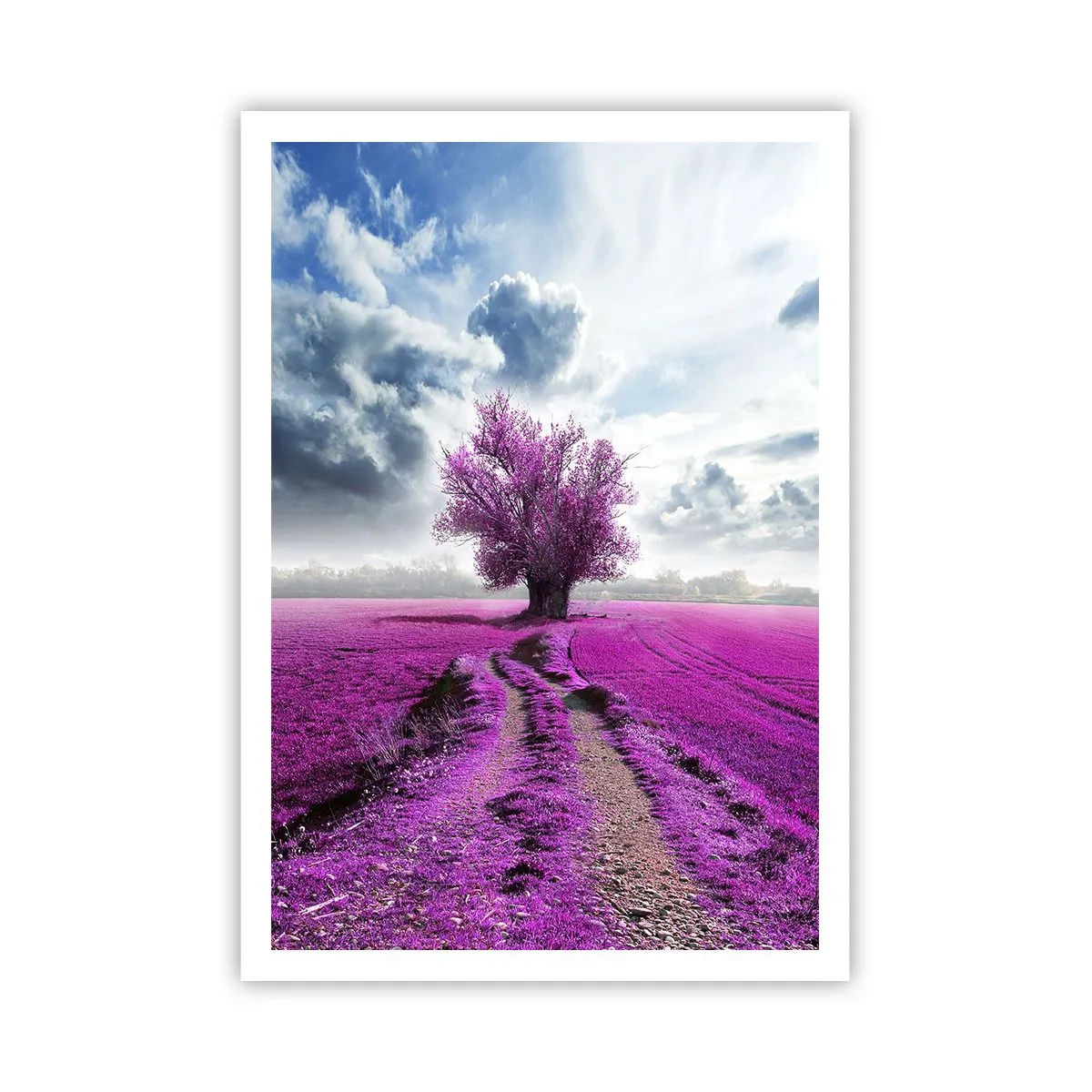 Poster - Heide - Wildnis - 70x100 cm