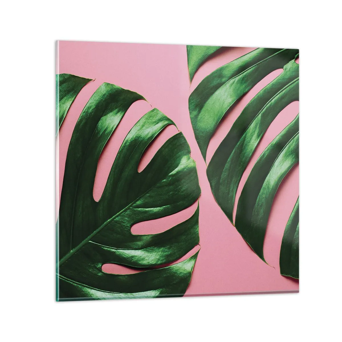 Glasbild - Bild auf glas - Rendezvous im Grünen - 30x30 cm