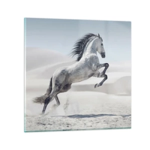 Glasbild - Bild auf glas - Arabischer Prinz - 30x30 cm