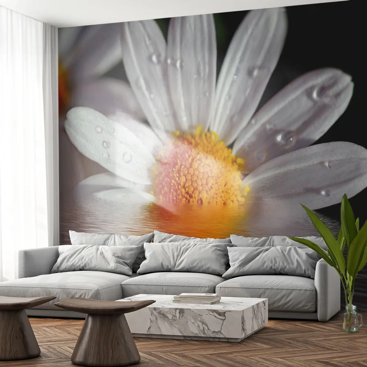 Fototapete Premium Sand - Die aufgehende Sonne der Gänseblümchen - Blume, Kamille, Natur - 250x175 cm