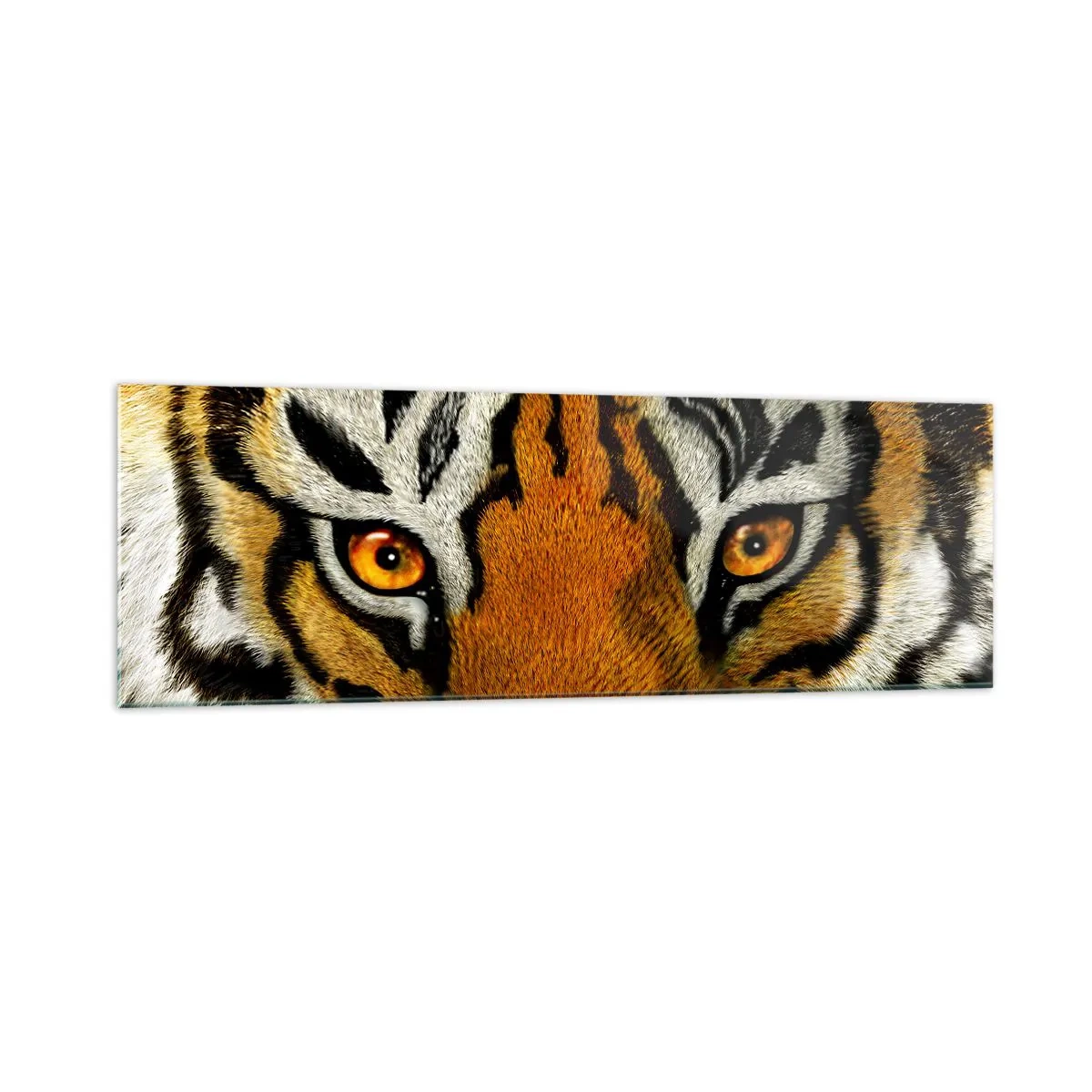 Glasbild - Bild auf glas - Nahaufnahme eines Tigers mit intensivem Blick - 160x50cm - Schrecklich und schön - Moderne Wanddekoration für Wohnzimmer und Schlafzimmer ARTTOR