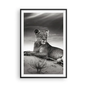 Poster in einem schwarzem Rahmen - Die Königin der Wüstenruhe - 61x91 cm