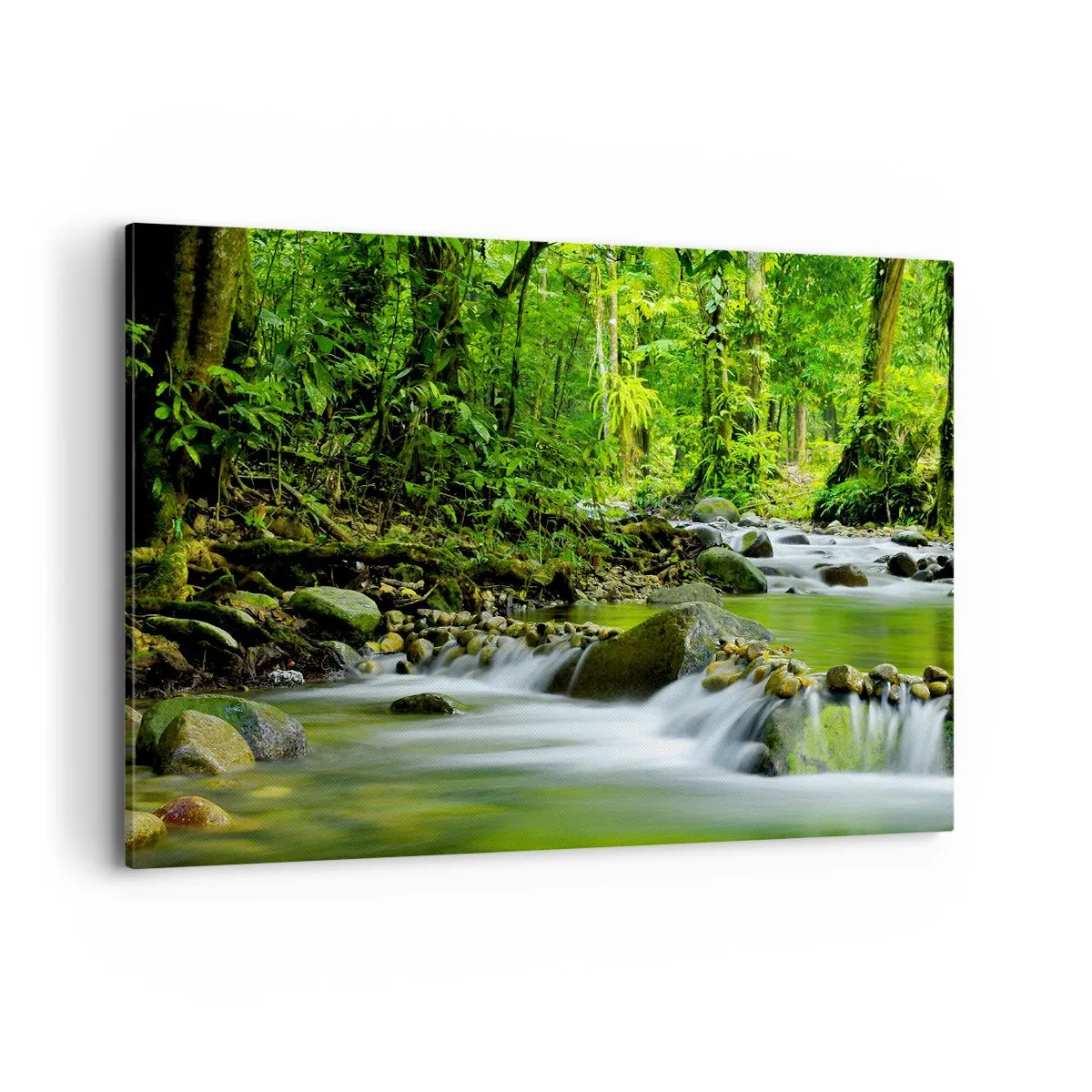 Bild auf Leinwand - Leinwandbild - Ein Bach in einem üppigen tropischen Wald - 100x70cm - Schwimmen Sie in einem Meer aus Grün - Moderne Wanddekoration für Wohnzimmer und Schlafzimmer ARTTOR