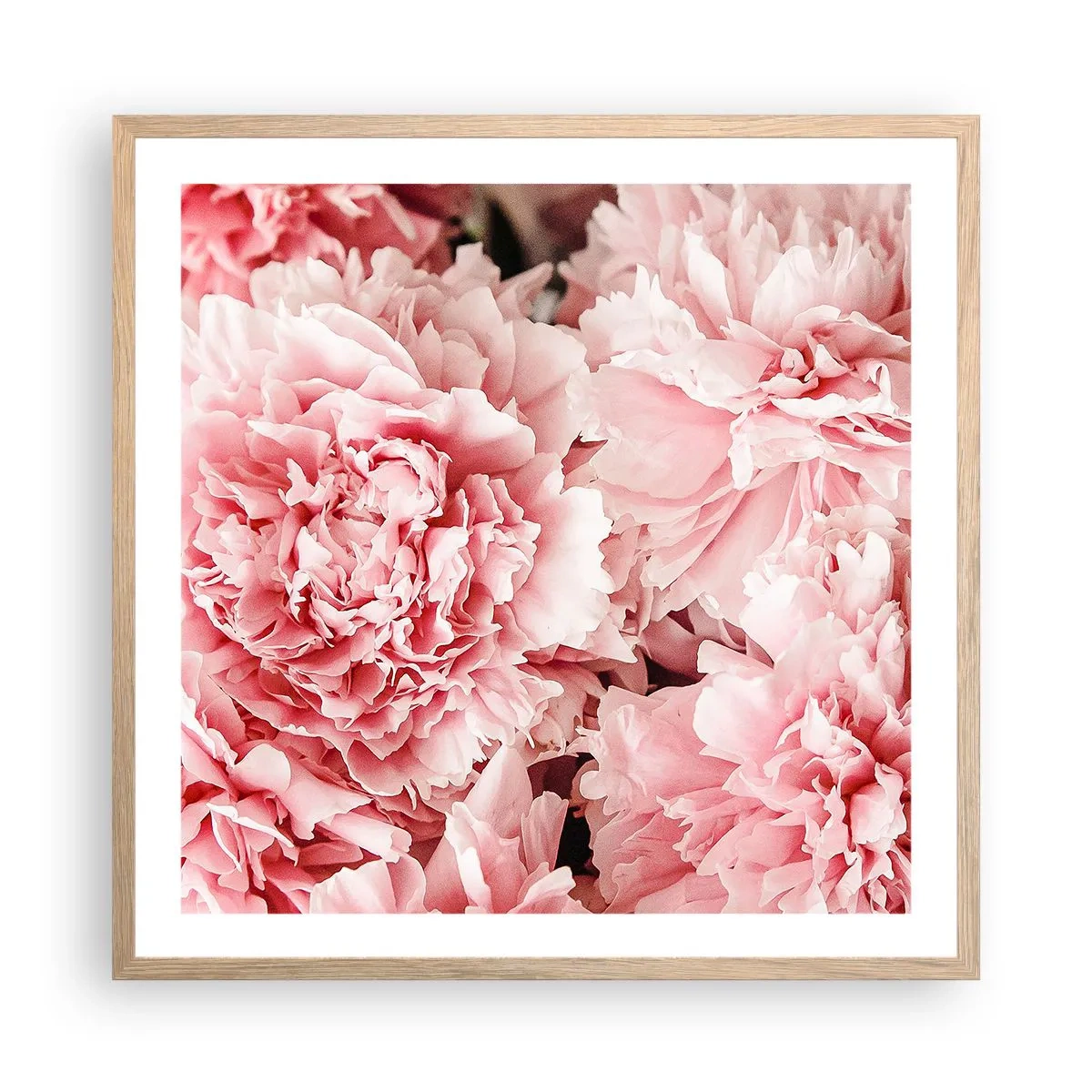 Poster in einem Rahmen aus heller Eiche - Rosa Traum - 60x60 cm