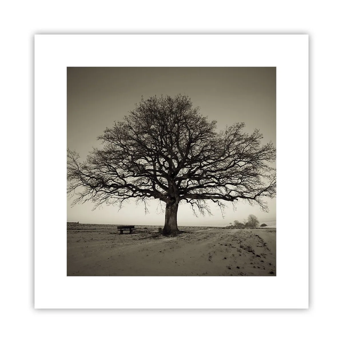 Poster - Von hier zu Ewigkeit - 30x30 cm