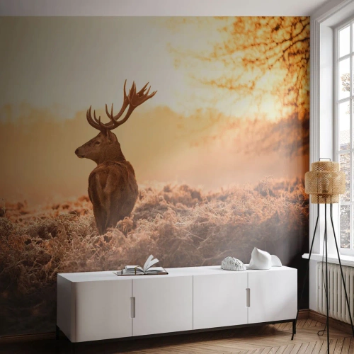 Selbstklebende Fototapete Deluxe Sticker - Herr im eigenen Land - Landschaft, Reh, Tiere - 100x70 cm