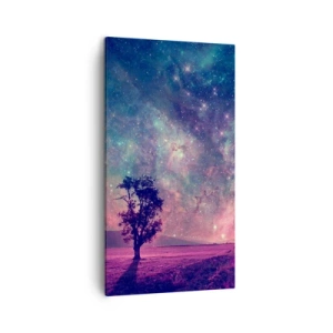 Bild auf Leinwand - Leinwandbild - Unter dem magischen Himmel - 45x80 cm