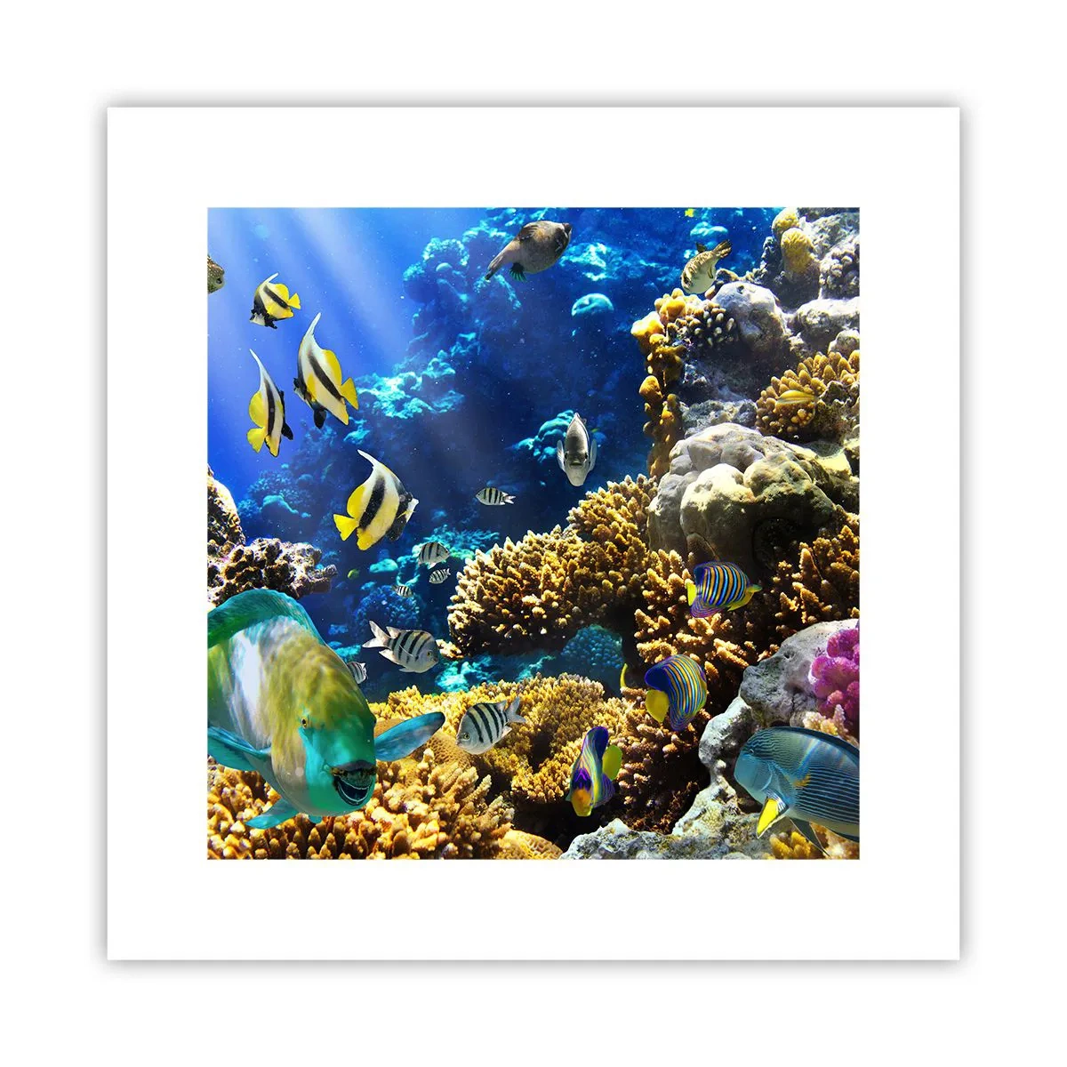 Poster - Viel Verkehr auf dem Ferienweg - 30x30 cm