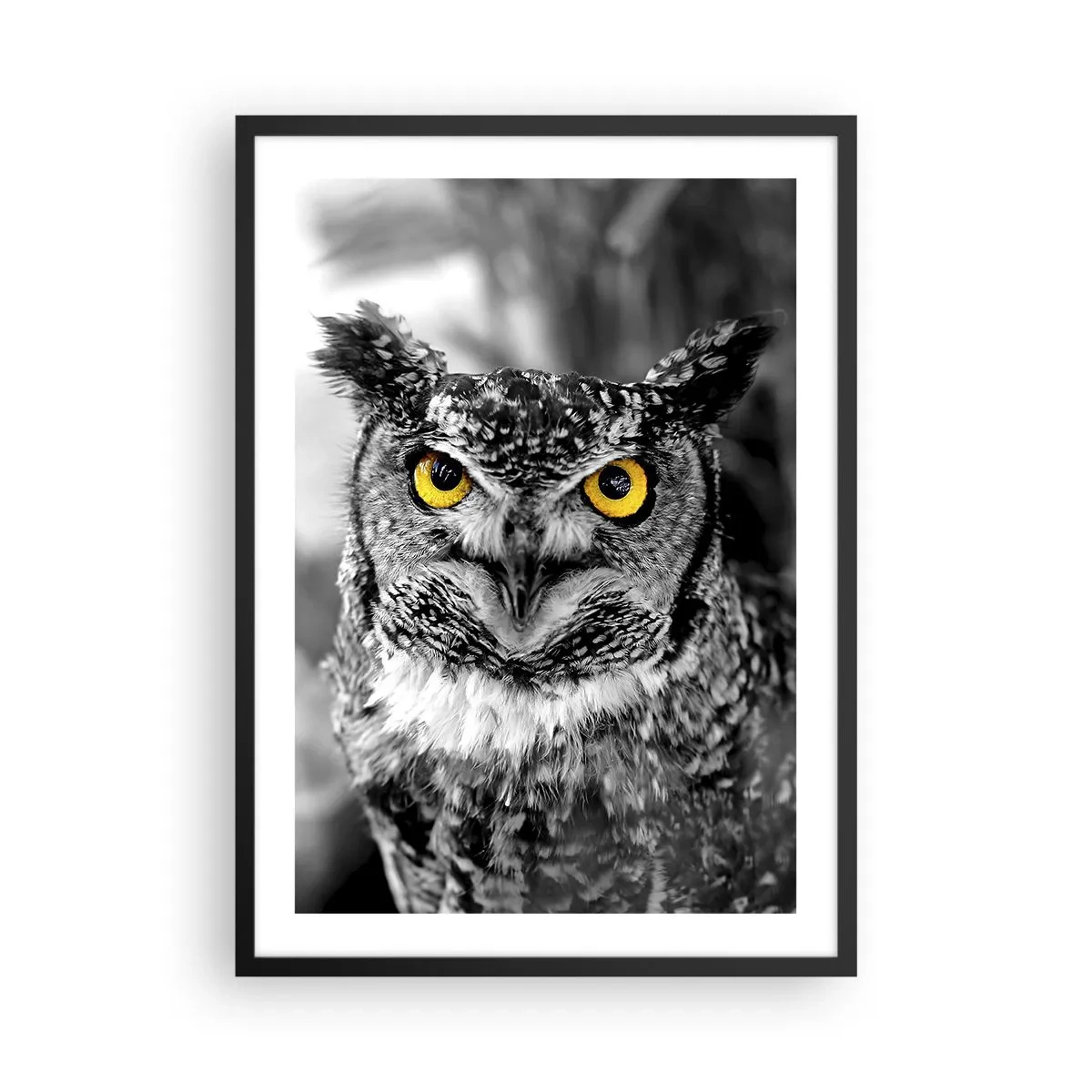 Poster in einem schwarzem Rahmen - Eine Eule mit gelben Augen auf einem schwarz-weißen Hintergrund - 50x70cm - Nichts wird sich verstecken - Moderne Wanddekoration für Wohnzimmer und Schlafzimmer ARTTOR