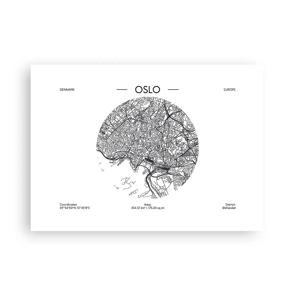 Poster - Anatomie von Oslo - 70x50 cm