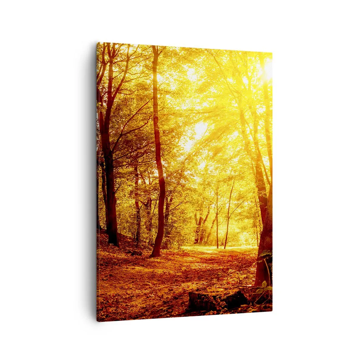 Bild auf Leinwand - Leinwandbild - Herbstlichtung im goldenen Sonnenlicht mit einem Waldweg - 50x70cm - Auf die goldene Lichtung - Moderne Wanddekoration für Wohnzimmer und Schlafzimmer ARTTOR