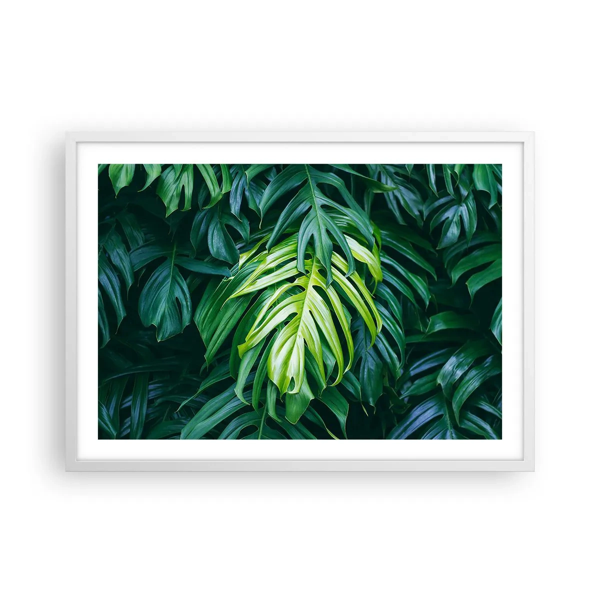 Poster in einem weißen Rahmen - Tauchen Sie ein in die Frische - 70x50 cm