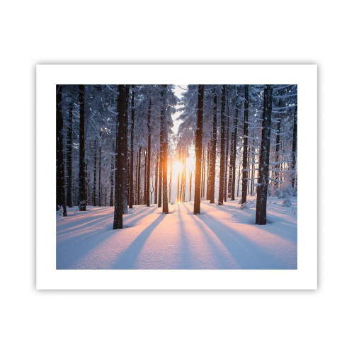 Poster - Ganz klar schwarz auf weiß - 50x40 cm