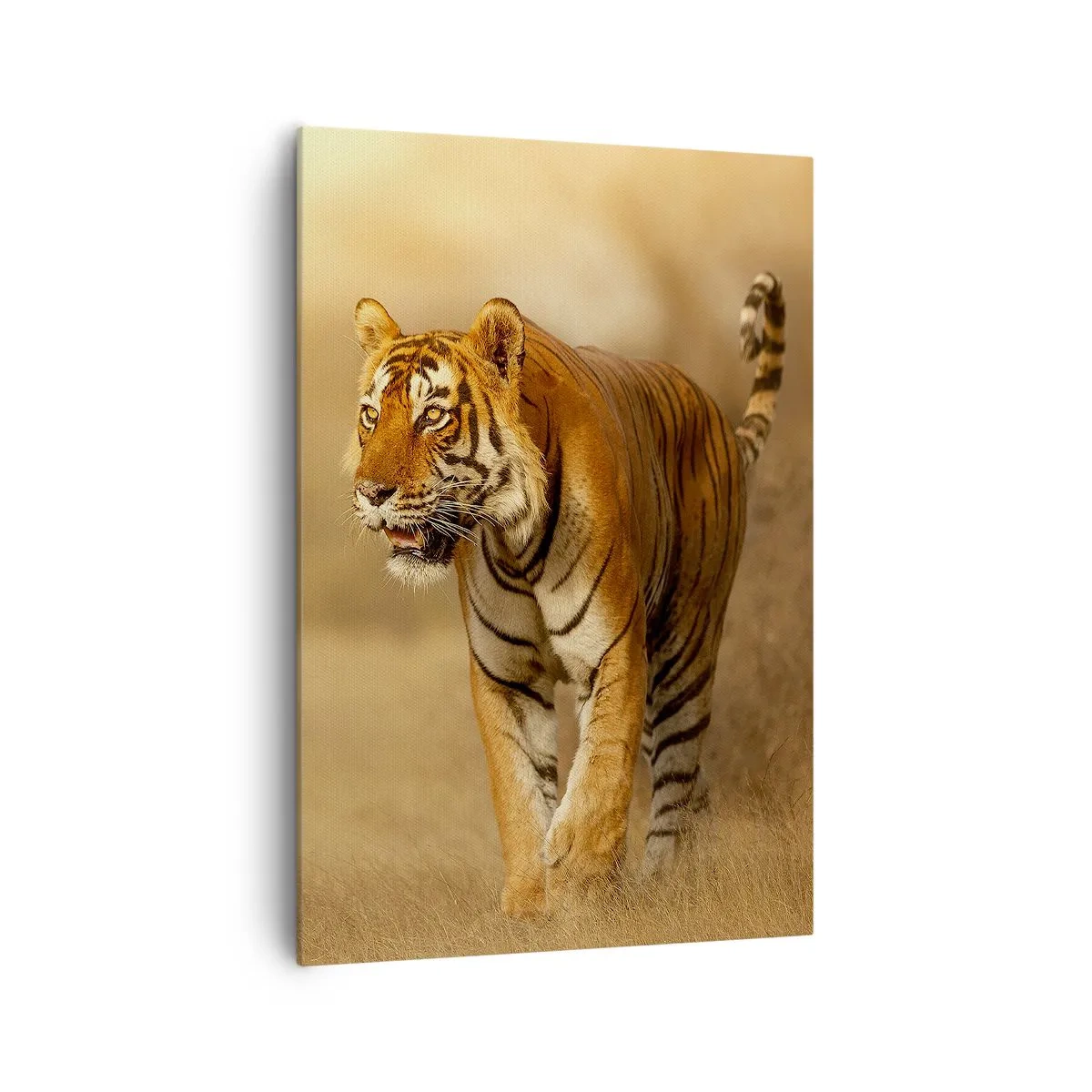 Bild auf Leinwand - Leinwandbild - Ein Tiger, der in warmen Farben durch die Savanne läuft - 70x100cm - Vor dem Angriff - Moderne Wanddekoration für Wohnzimmer und Schlafzimmer ARTTOR