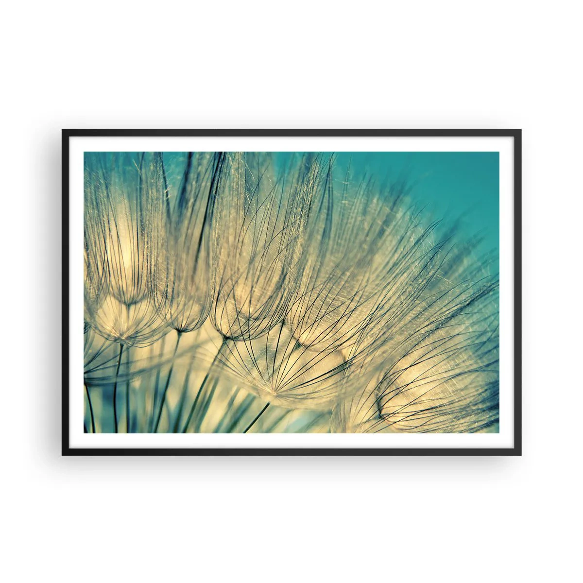 Poster in einem schwarzem Rahmen - Makrofotografie von Löwenzahn bei Tageslicht - 100x70cm - In Erwartung des Windes - Moderne Wanddekoration für Wohnzimmer und Schlafzimmer ARTTOR